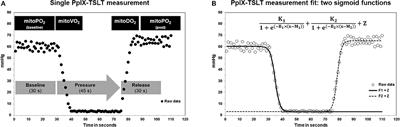 Non-invasive Assessment of Mitochondrial Oxygen Metabolism in the Critically Ill Patient Using the Protoporphyrin IX-Triplet State Lifetime Technique—A Feasibility Study